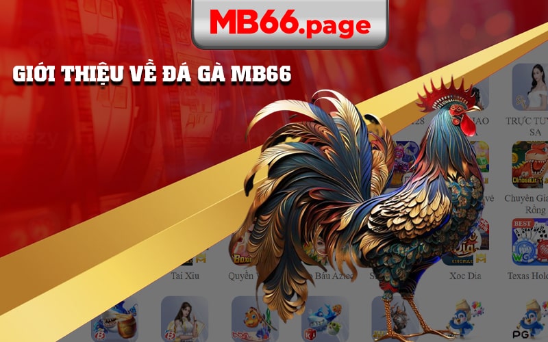 Giới Thiệu Về Đá Gà Mb66